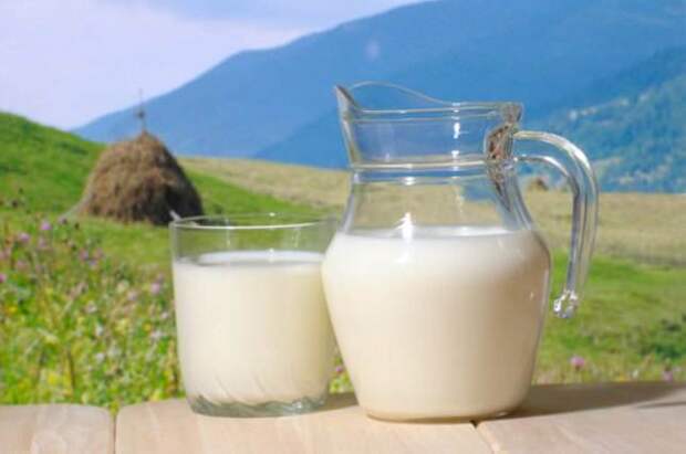 Как хранить молоко и молочные продукты