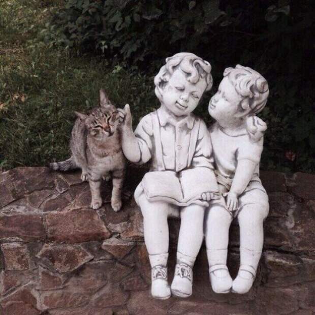 кот и памятник