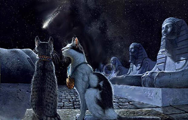 cats