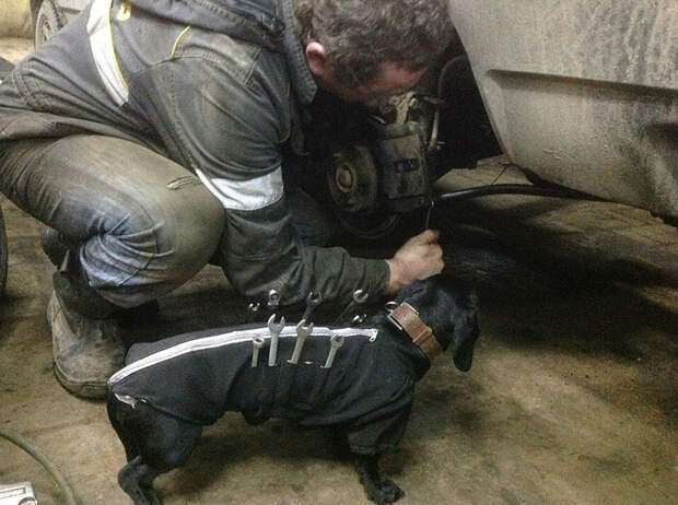такса помогает в автосервисе