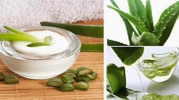 aloe-vera-face-masks