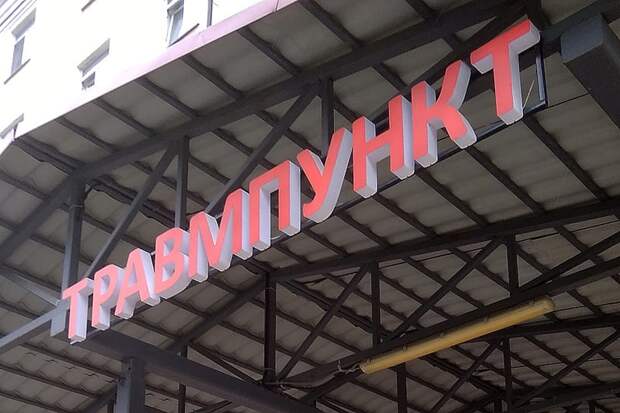 В Смоленске немецкая овчарка набросилась на проходящую мимо женщину