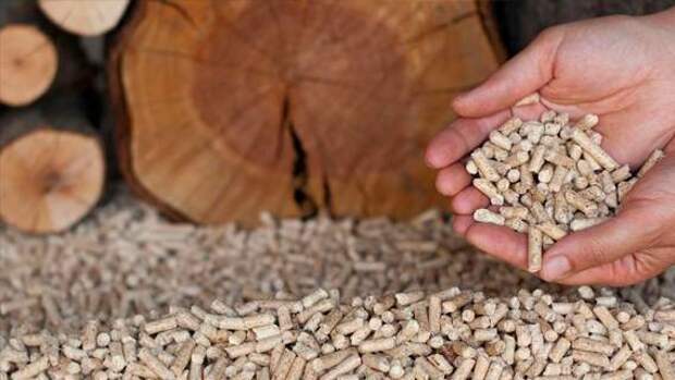 США заметно увеличили экспорт древесных пеллет на фоне войны на Украине