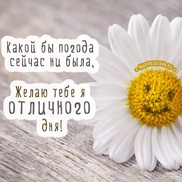 Хорошего всем настроения!