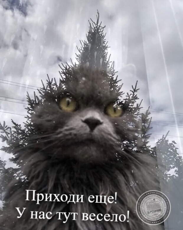 У нас весело