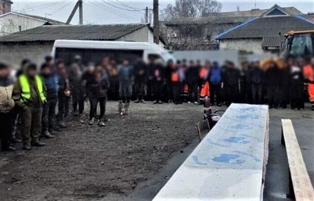 Группу из 20 нелегалов, выявленных в ДНР, выдворят из РФ