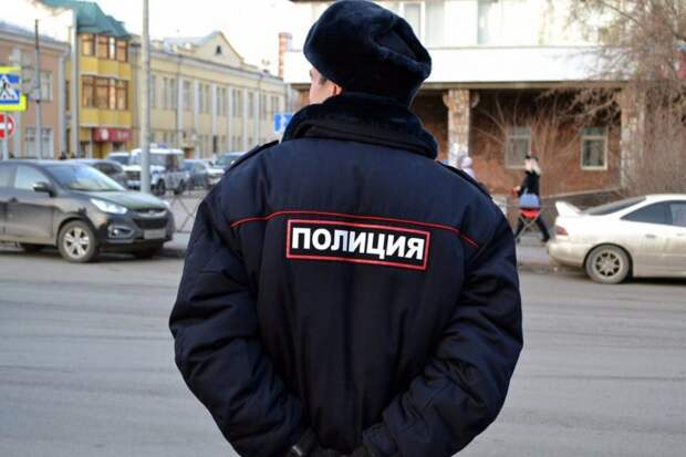 полиция /фото: mos.ru