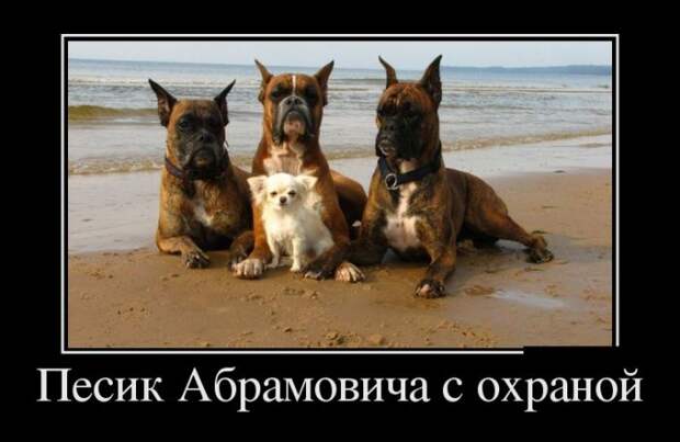 Прикольные демотиваторы на выходные (11 фото) Прикольные демотиваторы на выходные (11 фото)