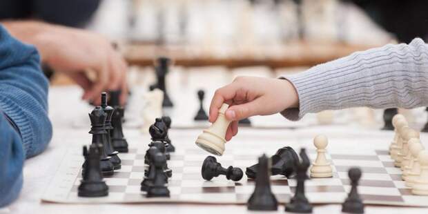 В выходные на ВДНХ впервые отметят Международный день шахмат/mos.ru