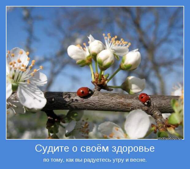 Утренние мотиваторы (78 фото) Утренние мотиваторы (78 фото)