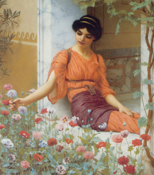 1903_Летние цветы