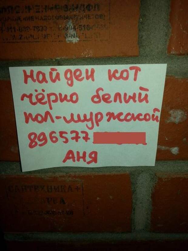 Анекдоты про аню. Шутки про Аню смешные. Смешные анекдоты про Аню. Смешные стихи про Аню. Смешные стишки про Аню.