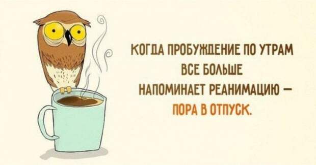 Самый лучший юмор – тот, что на злобу дня