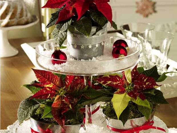 home-flowers-in-new-year-decorating1-9 (600x450, 42Kb)