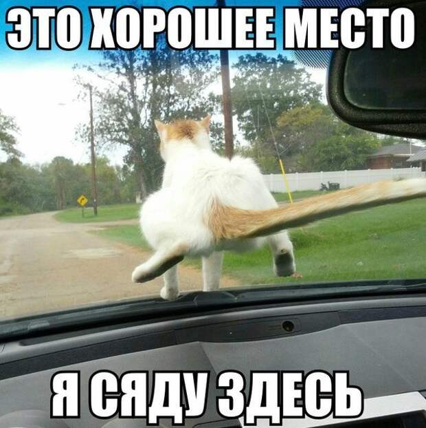 Всяко - разно 53 ))) Всяко - разно 53 )))