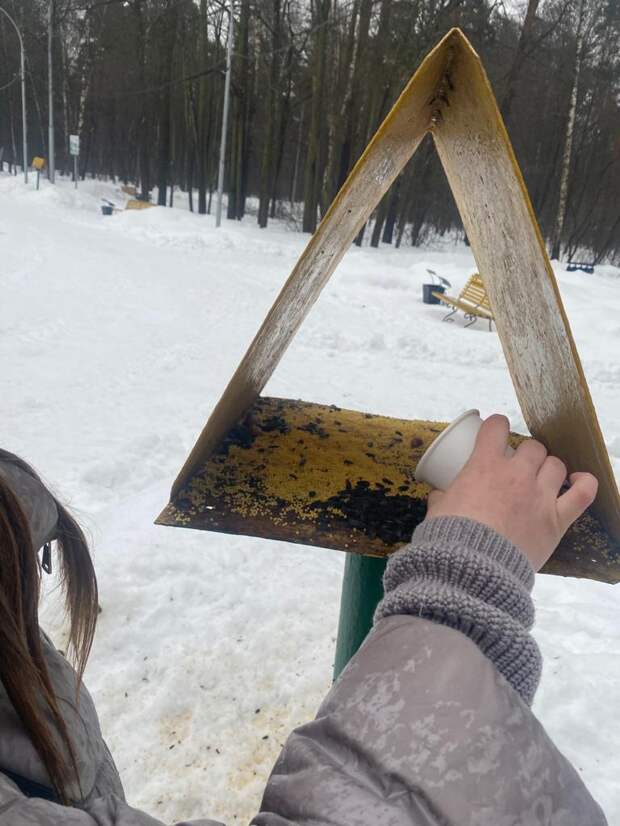 Школьники из Текстильщиков помогли птицам в Кузьминском лесопарке