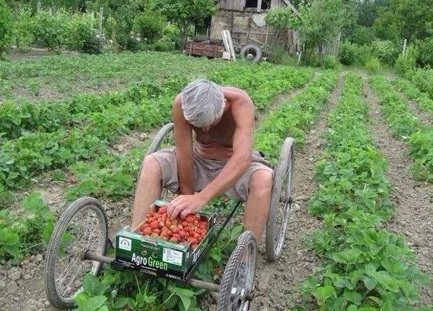 Любопытные факты, которые вас удивят