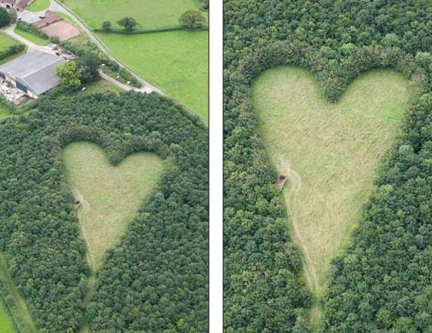 В память о жене