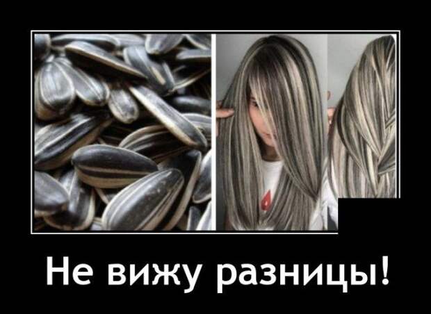Демотиватор про прическу