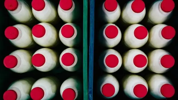 В приют для бездомных в Тольятти поставляли молоко-фальсификат