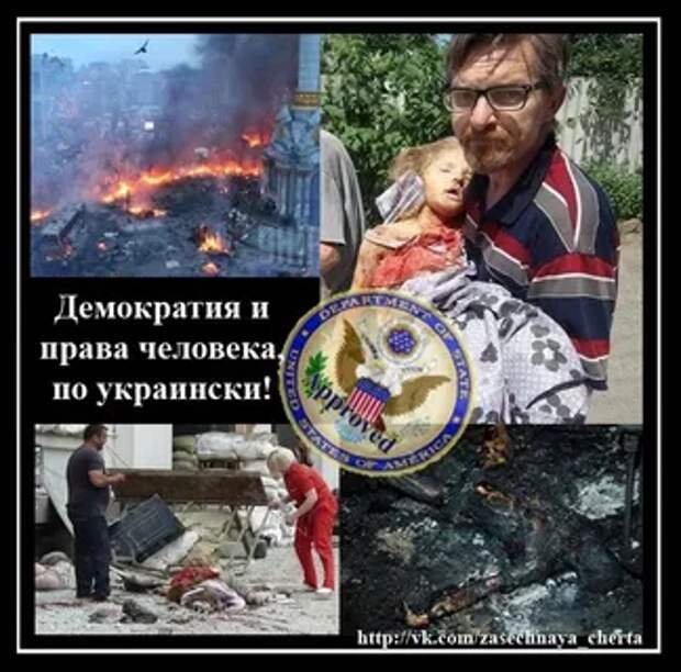 Фото из открытых источников