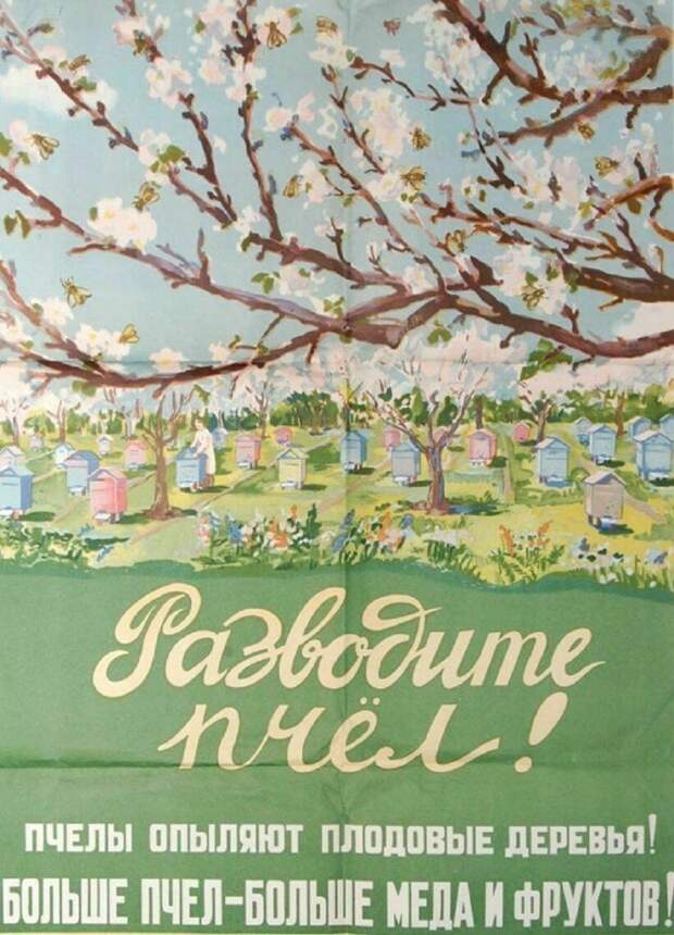 Плакаты из СССР, которые поднимали сельское хозяйство