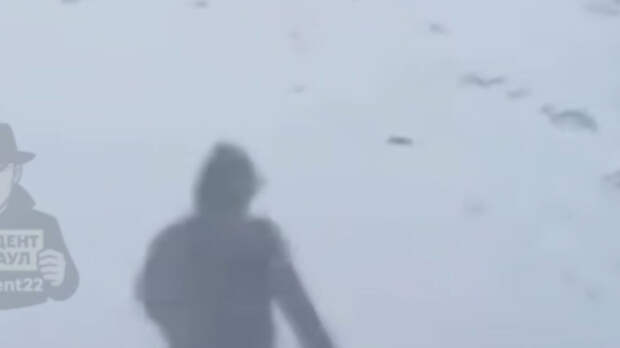 Учительница прошла по трассе 4 км, помогая машинам выбраться из бурана