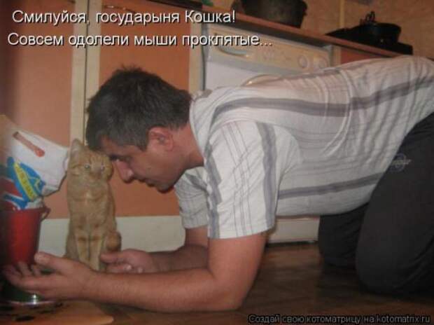 Котоматрицы(картинки с надписями)
