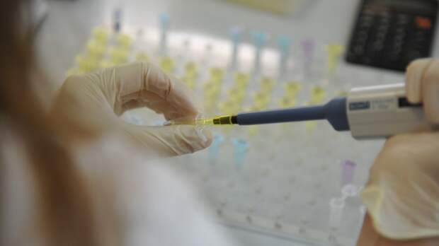 Пять новых штаммов коронавируса нашли в Эквадоре