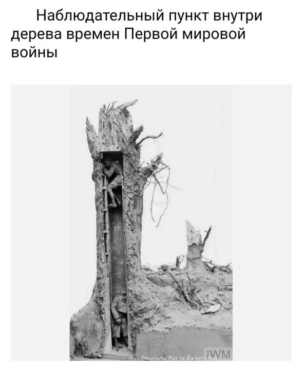 Обычные вещи в необычном разрезе Вещи, Предметы, Интересное, Разрез, Было-Стало, Факты, Длиннопост