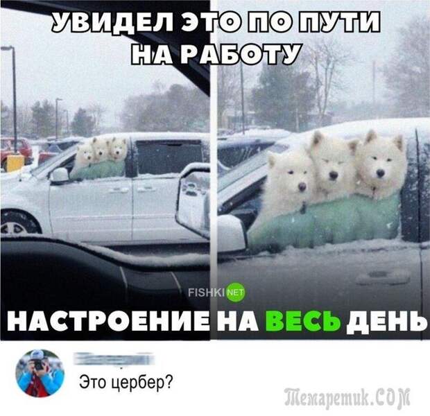 Демотиваторы для настроения