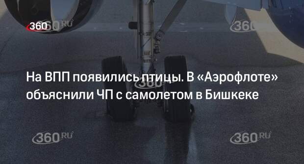 «Аэрофлот» объяснил происшествие с самолетом в Бишкеке появлением птиц на ВПП