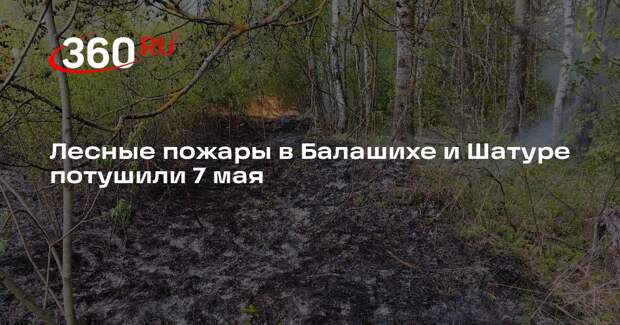 Лесные пожары в Балашихе и Шатуре потушили 7 мая