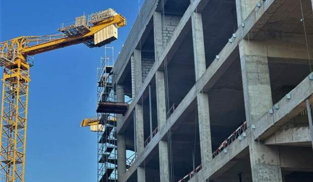 Новый функционал для предпринимателей запустили на платформе «Открытый контроль»