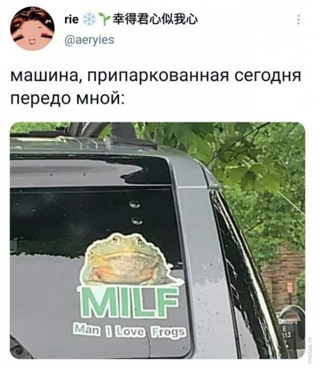 Картинки и мемы для настроения