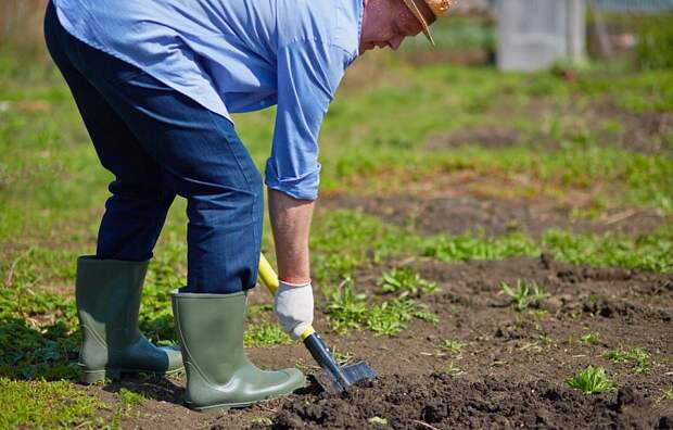 Об эффективном средстве для улучшения качества почвы рассказали тулякам эксперты