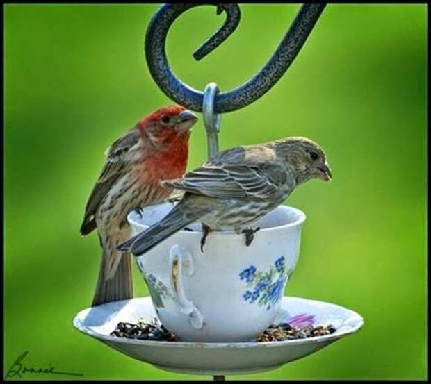 clip_image048