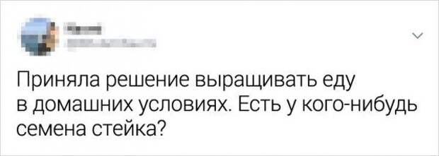 192828_17_1587990530_trinixy_ru.jpg