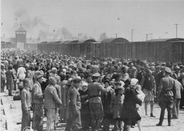 Где в мире цыгане могли бы построить своё государство?