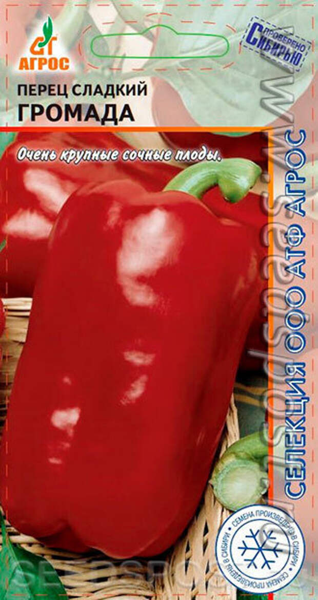 Даже свекровь удивляется моим перцам. Какие сорта мои фавориты?