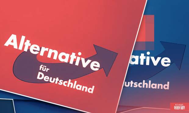 Политическая партия Альтернатива для Германии