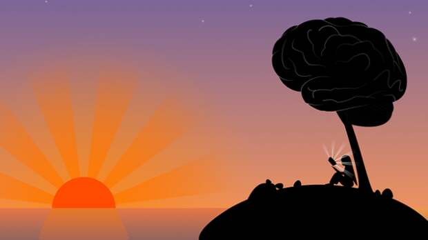 Тест на кругозор: Ответьте без единой ошибки на 15/15 сложных вопросов из серии «Всё обо всём»