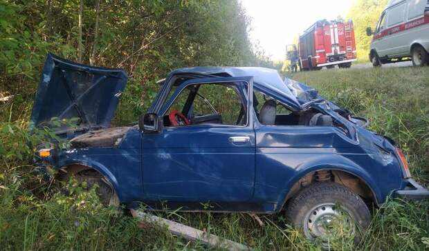 За выходные в Удмуртии 59 пьяных водителей отстранили от руля