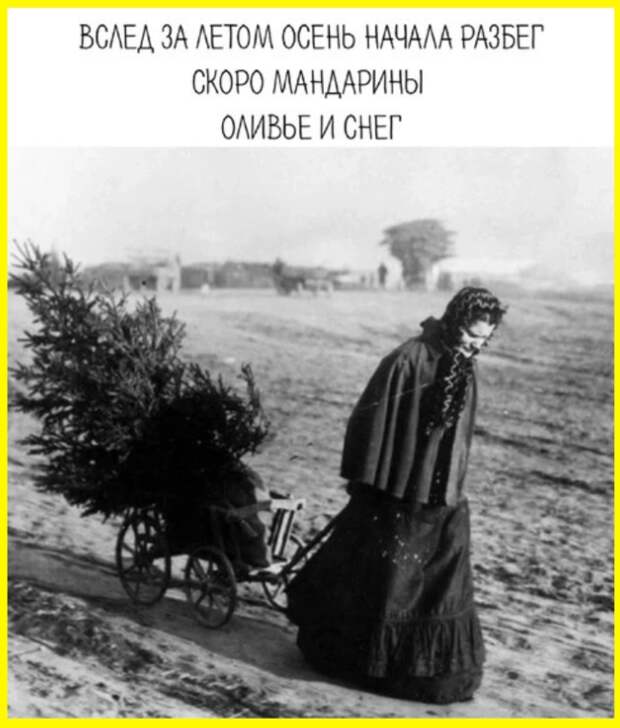 Кто не рискует, тот не пьет питательный раствор через трубочку в травматологии..