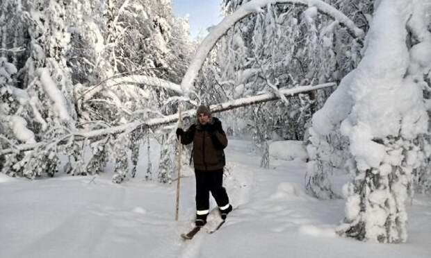 В Пинежском заповеднике завершился зимний учет численности животных
