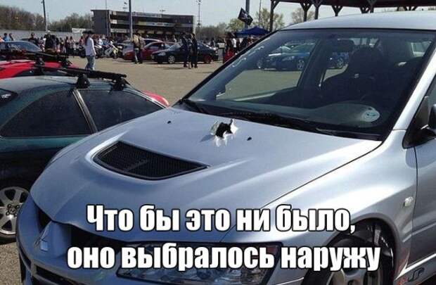 Прикольные картинки с текстом Прикольные картинки с текстом