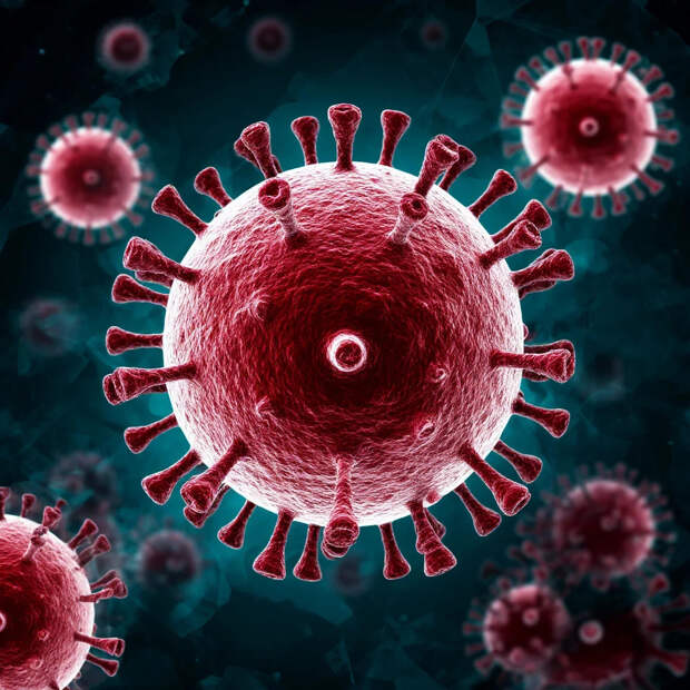 Вирусы мутируют. Новая пандемия угрожает России уже в этом году