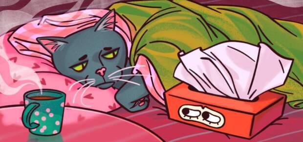 Что делать, если вы заболеваете простудой