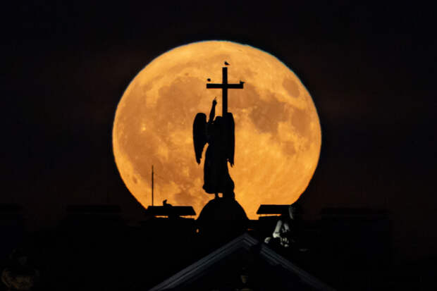 Фото: Цветочную Луну увидели в Петербурге
