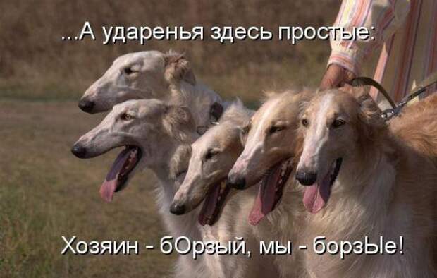 Продолжаем подготовку к Новому Году.